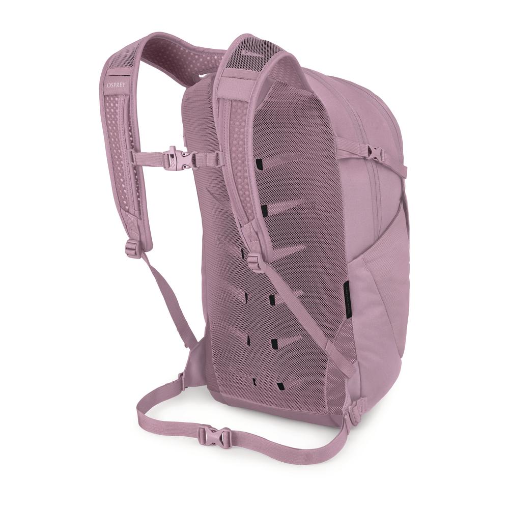 OSPREY Daylite Plus - Tagesrucksack mit Laptopfach