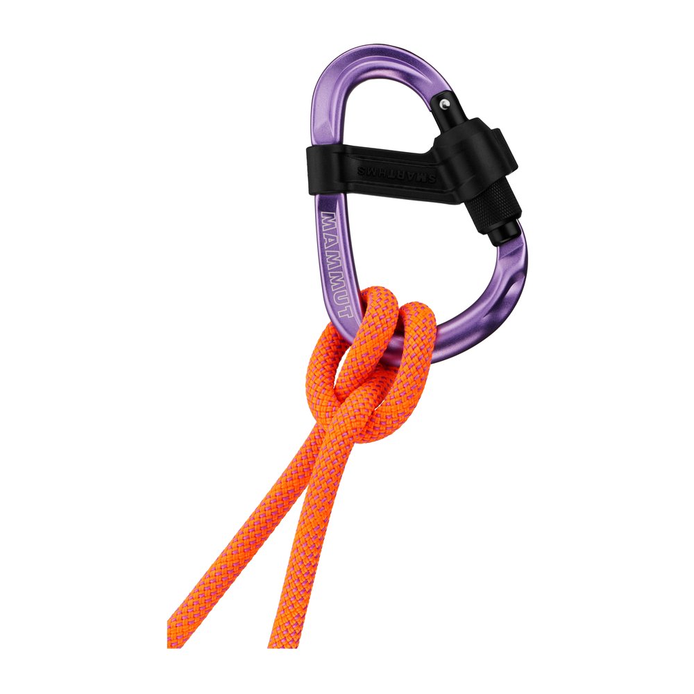 MAMMUT Smart HMS 2.0 Screwgate Carabiner - HMS-Sicherungskarabiner mit hoher Bruchlast