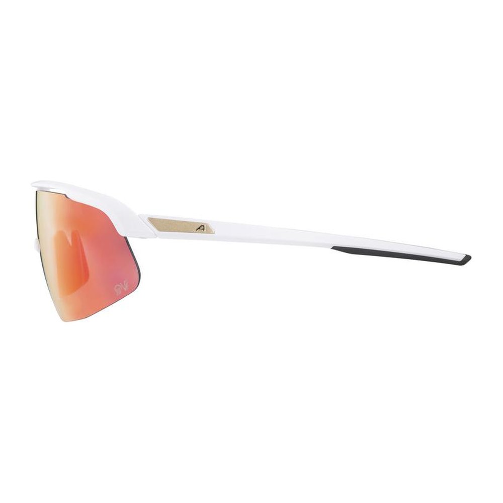 ALPINA Turbo Pro S QV - Sportbrille 100% UV-Schutz, polarisierend