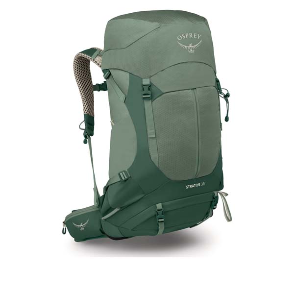 pine leaf green