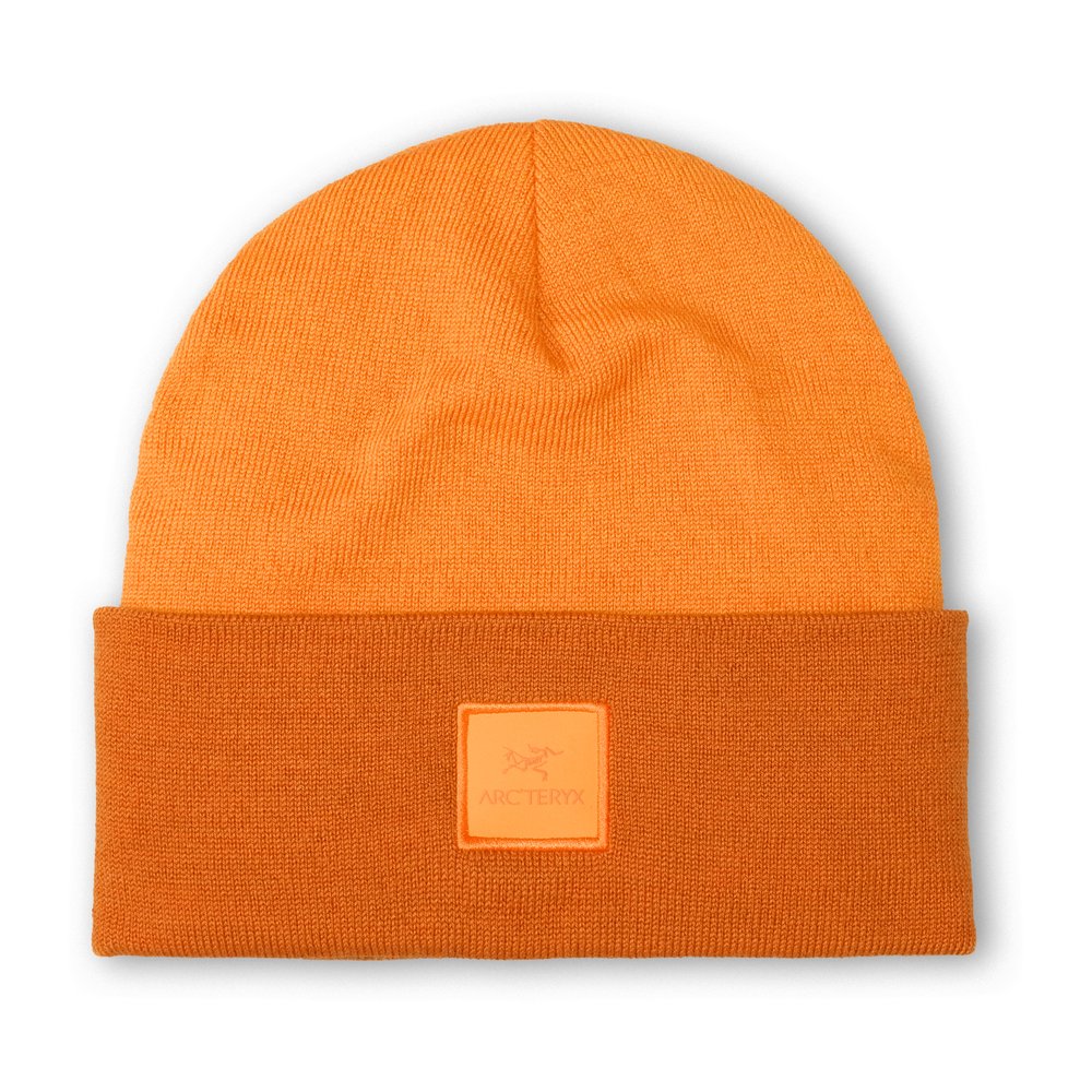ARC'TERYX Color Block Toque - Mütze