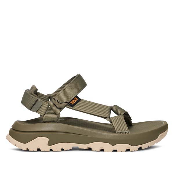 burnt olive