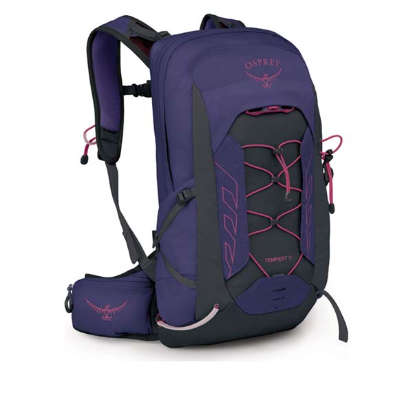 deep fig hotspot pink