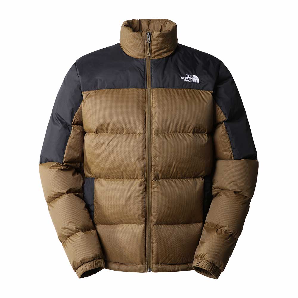 Mens north face down online
