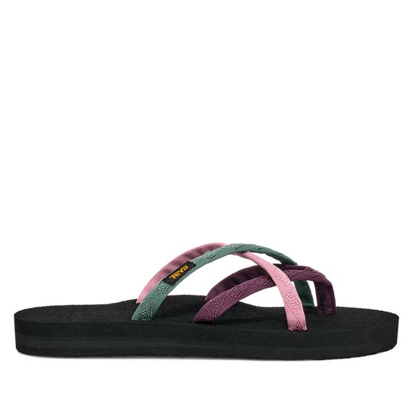 lilas multi
