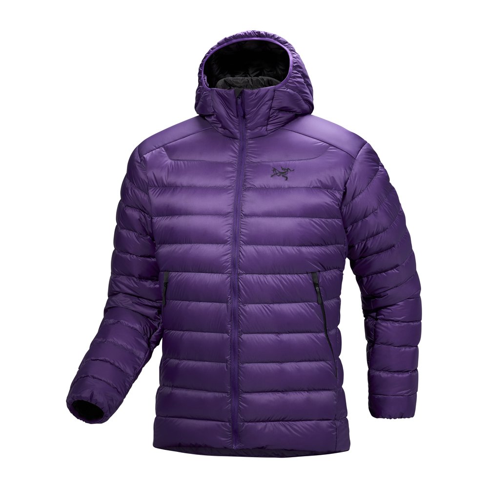 ARC'TERYX Cerium Hoody Men - Daunenjacke