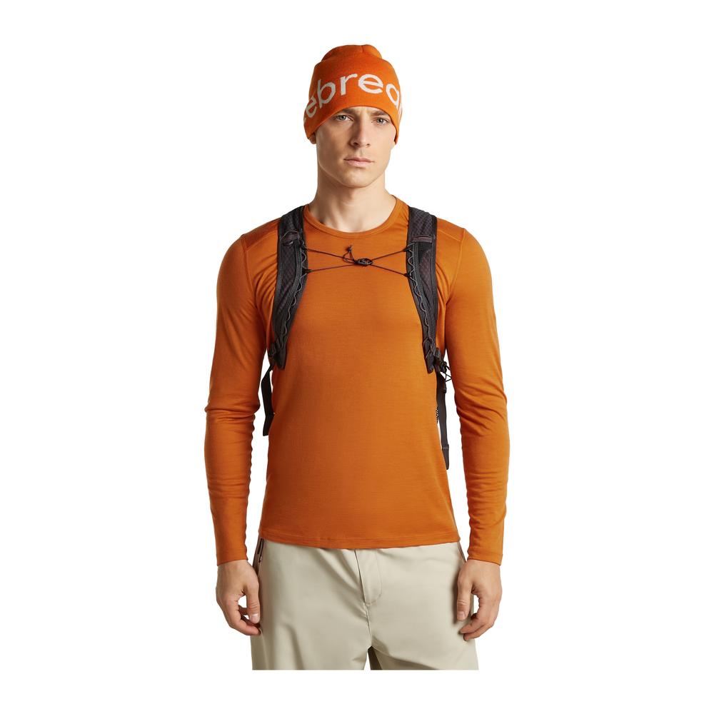 ICEBREAKER Merino 200 Oasis LS Crewe Men - Merino-Langarmshirt geruchsabweisend, thermoregulierend