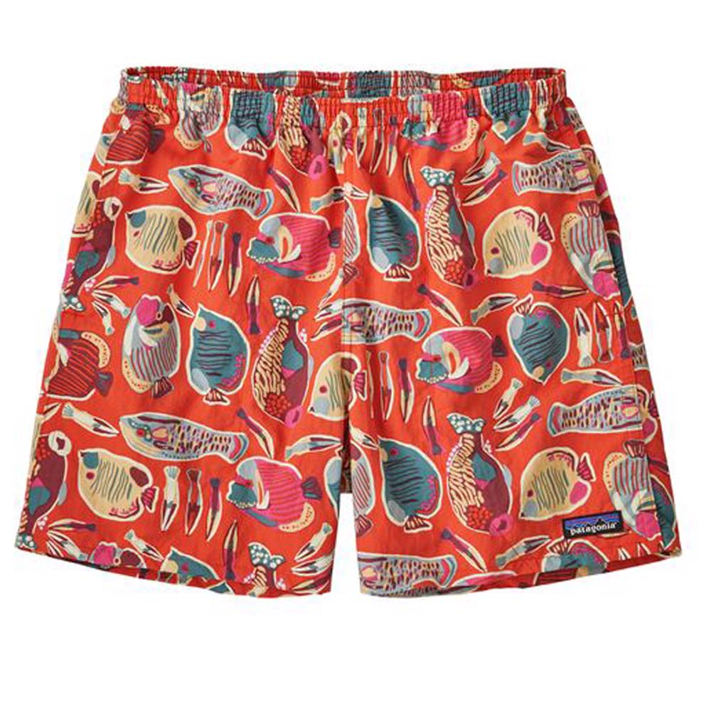 wrasse/pollinator orange